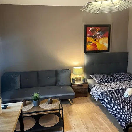 Апартаменты Studio Mulhouse Мюлуз