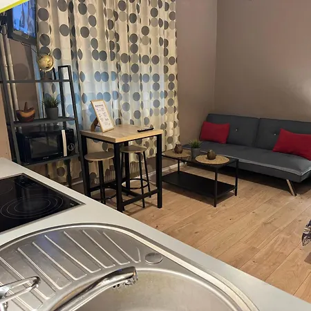 아파트 Studio Mulhouse 뮐루즈