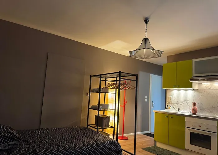 Studio Mulhouse Appartement *