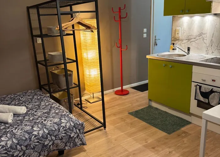 Studio Mulhouse Appartement Mulhouse