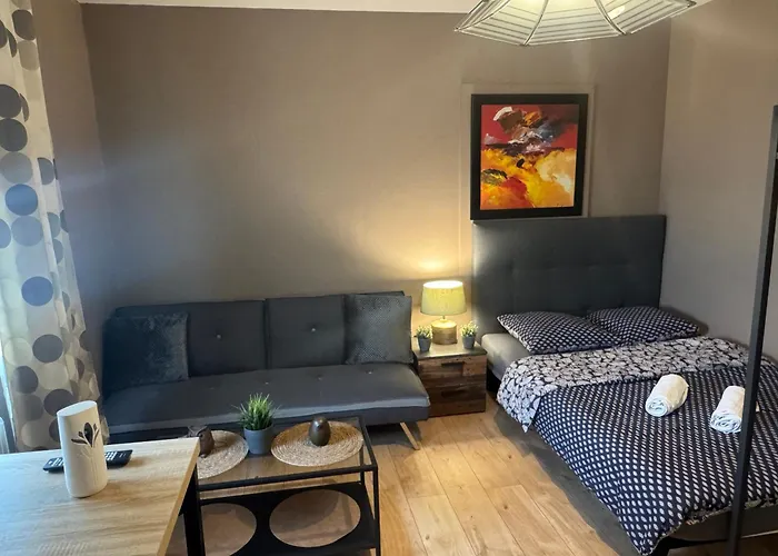 Апартаменты Studio Mulhouse Мюлуз