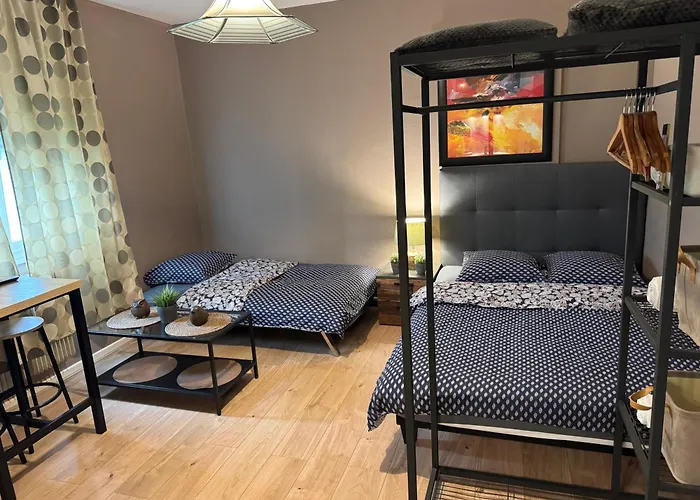 Апартаменты Studio Mulhouse