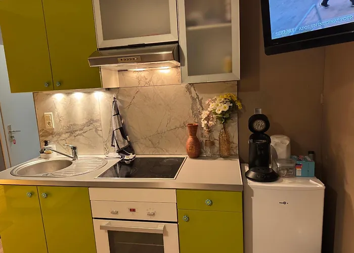 Апартаменты Studio Mulhouse