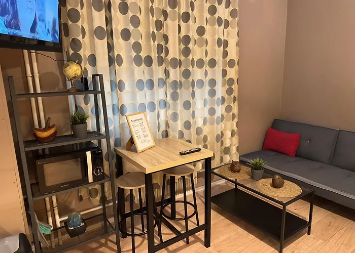 Studio Mulhouse Appartement Mulhouse