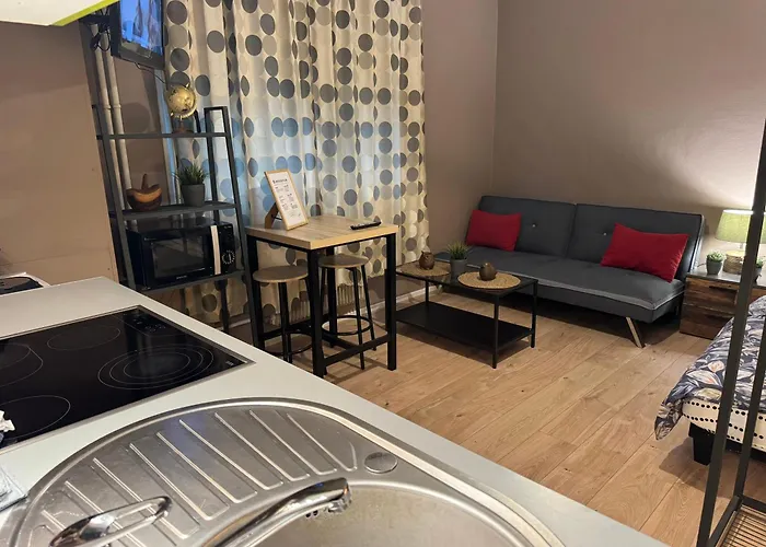 Апартаменты Studio Mulhouse Мюлуз